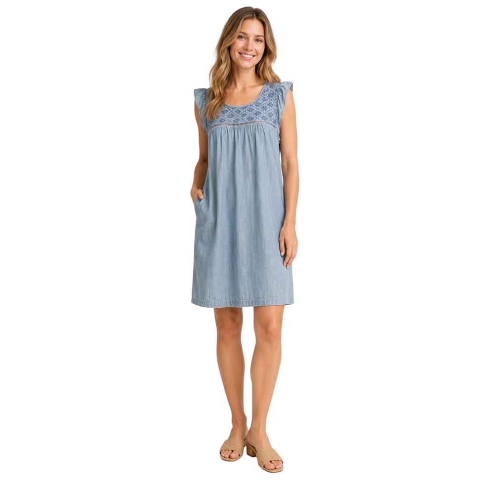 Joie Chambray Embroidered Flutter Sleeve Shift Dress, Cotton Lyocell, Medium